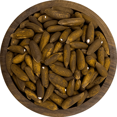 جلغوزه برشته