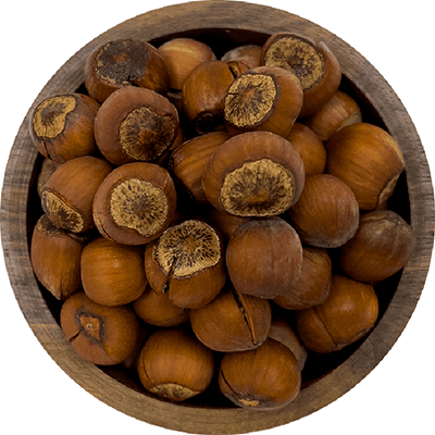 Raw ripe hazelnuts