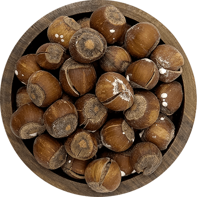 Roasted hazelnuts